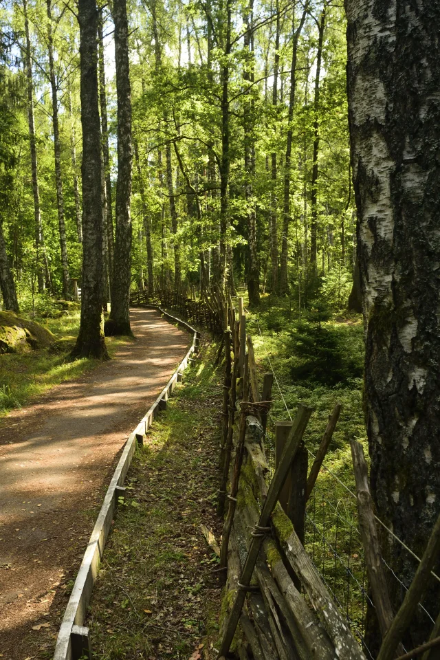 Goesta_Lkpg_Vsjö_216copyr_OlofA.webp