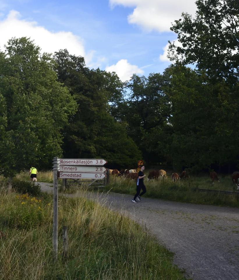 Goesta_Lkpg_Vsjö_217copyr_OlofA.webp