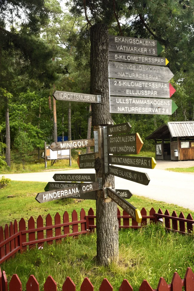 Goesta_Lkpg_Vsjö_220copyr_OlofA.webp