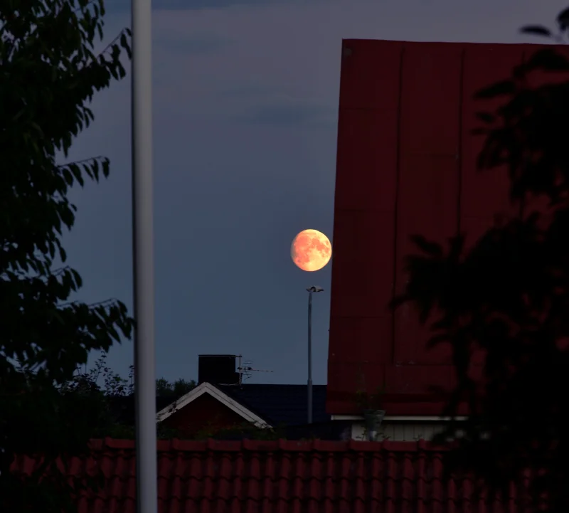 Goesta_Måne_20260825_206_copyr_OlofA.webp