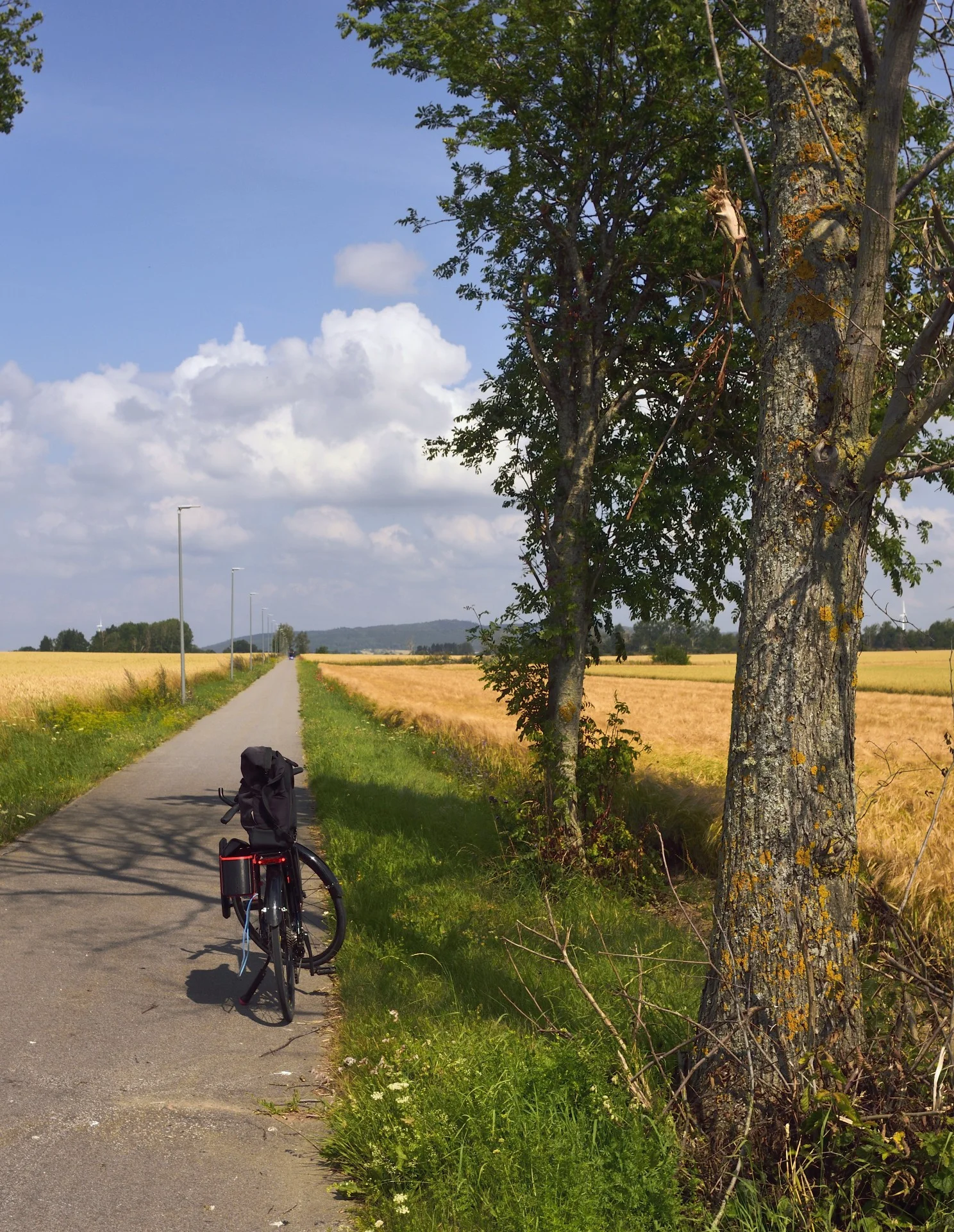 Goesta_omberg_230copyr_OlofA (1).webp
