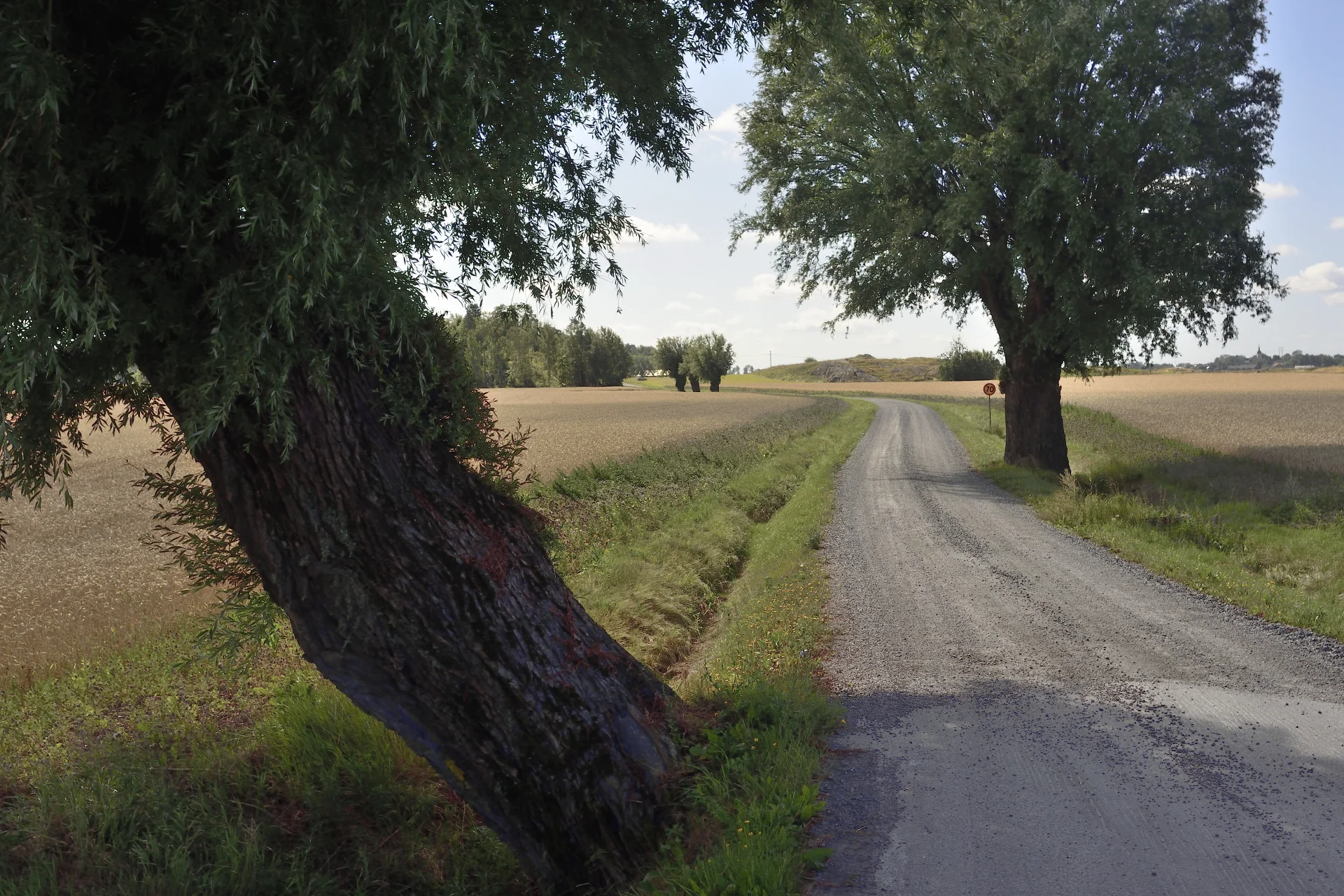 Goesta_Öst_126copyr_OlofA.webp