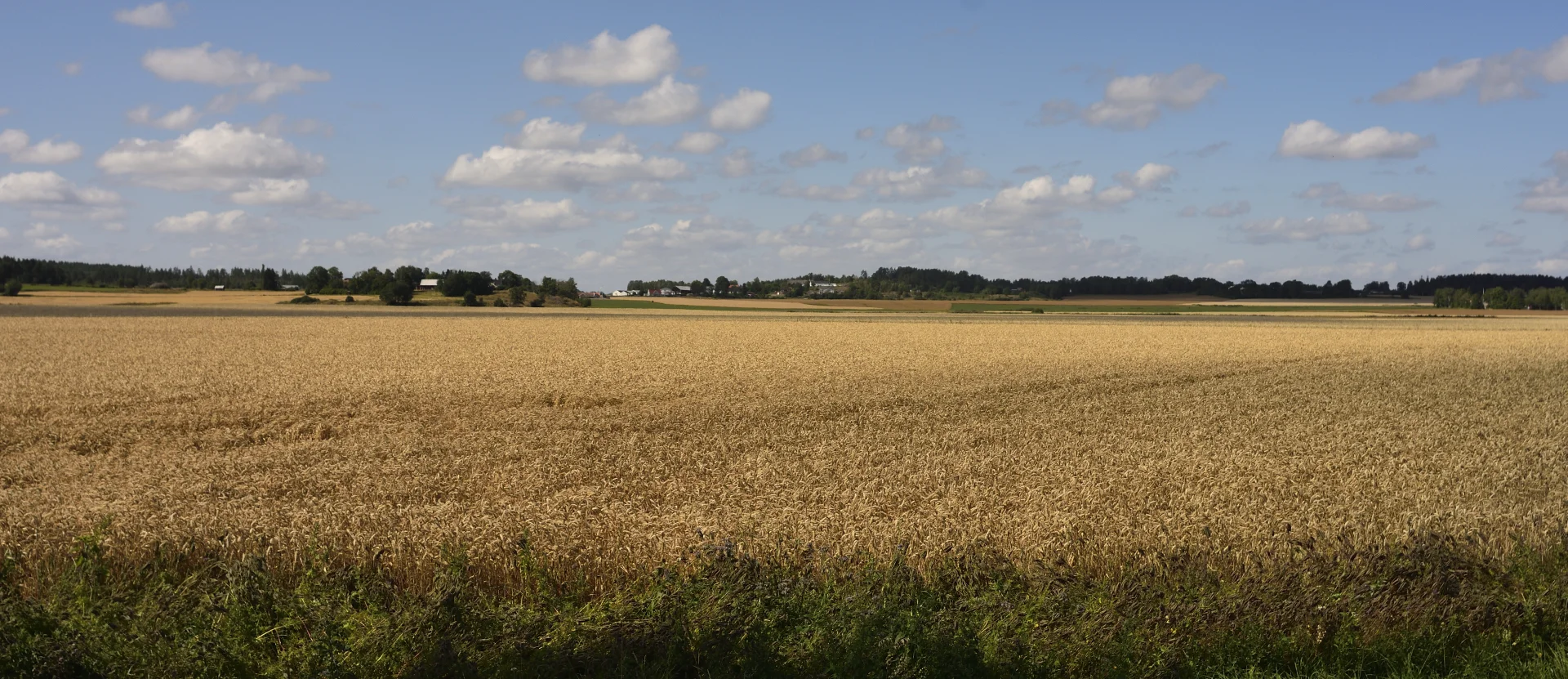 Goesta_Öst_128copyr_OlofA.webp