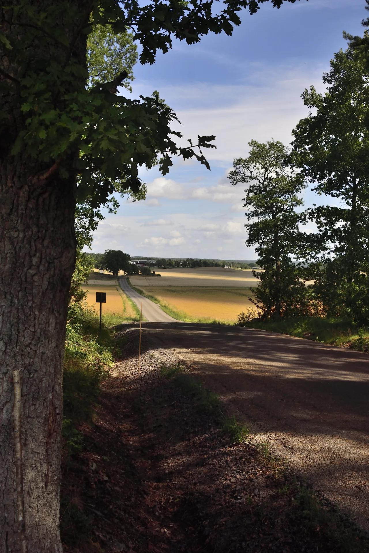 Goesta_Öst_133copyr_OlofA.webp