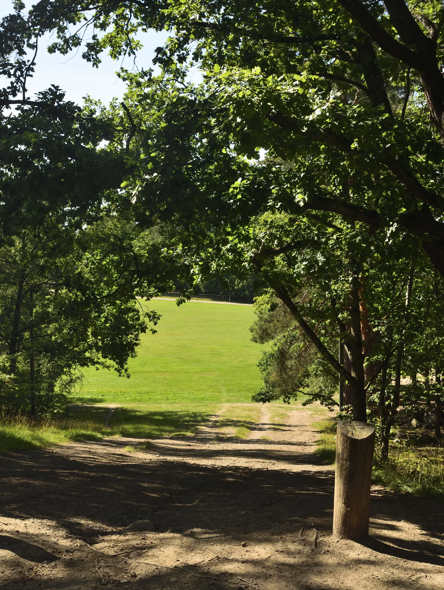 Goesta_sv_Lkpg_188copyr_OlofA.webp