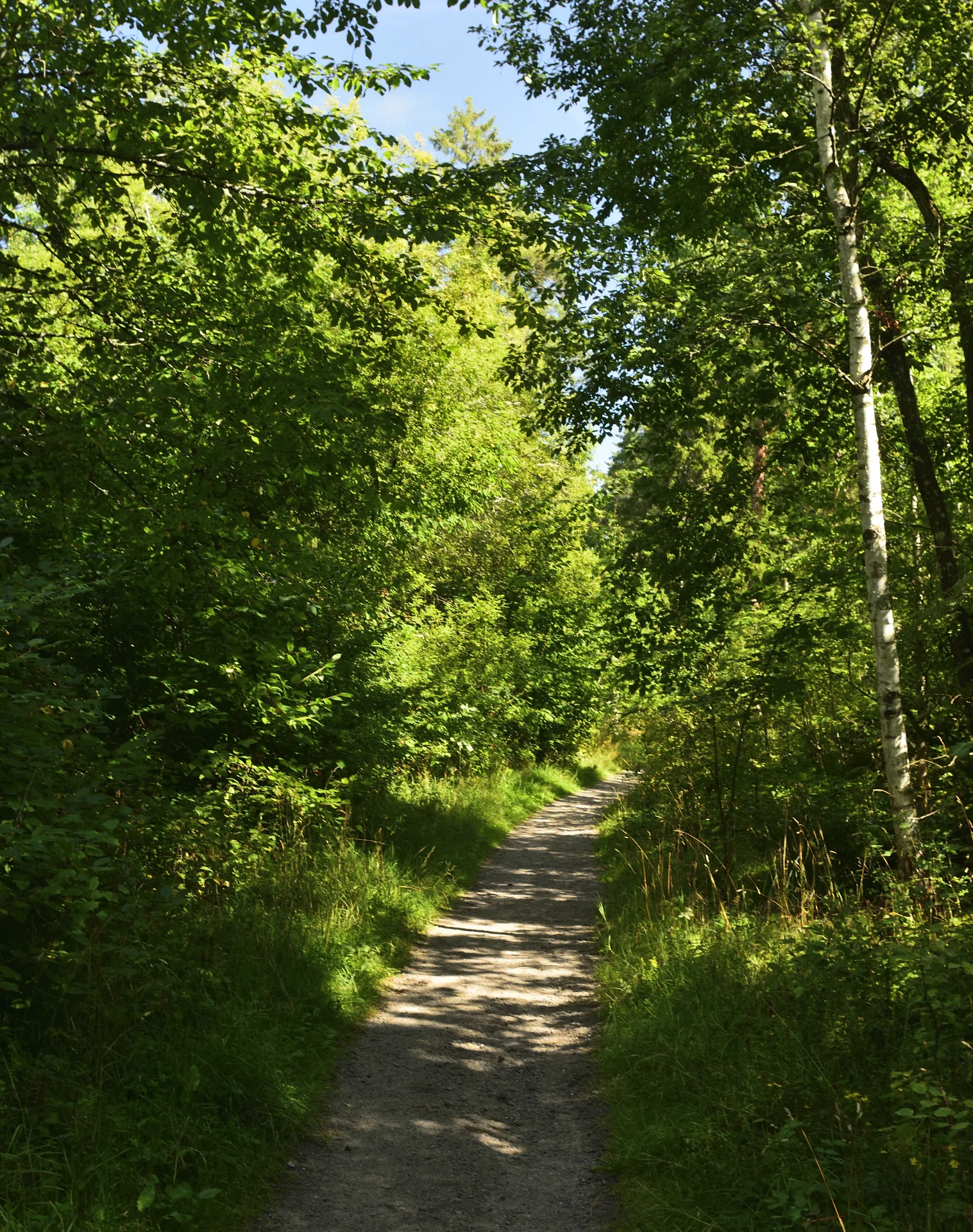 Goesta_sv_Lkpg_189copyr_OlofA.webp