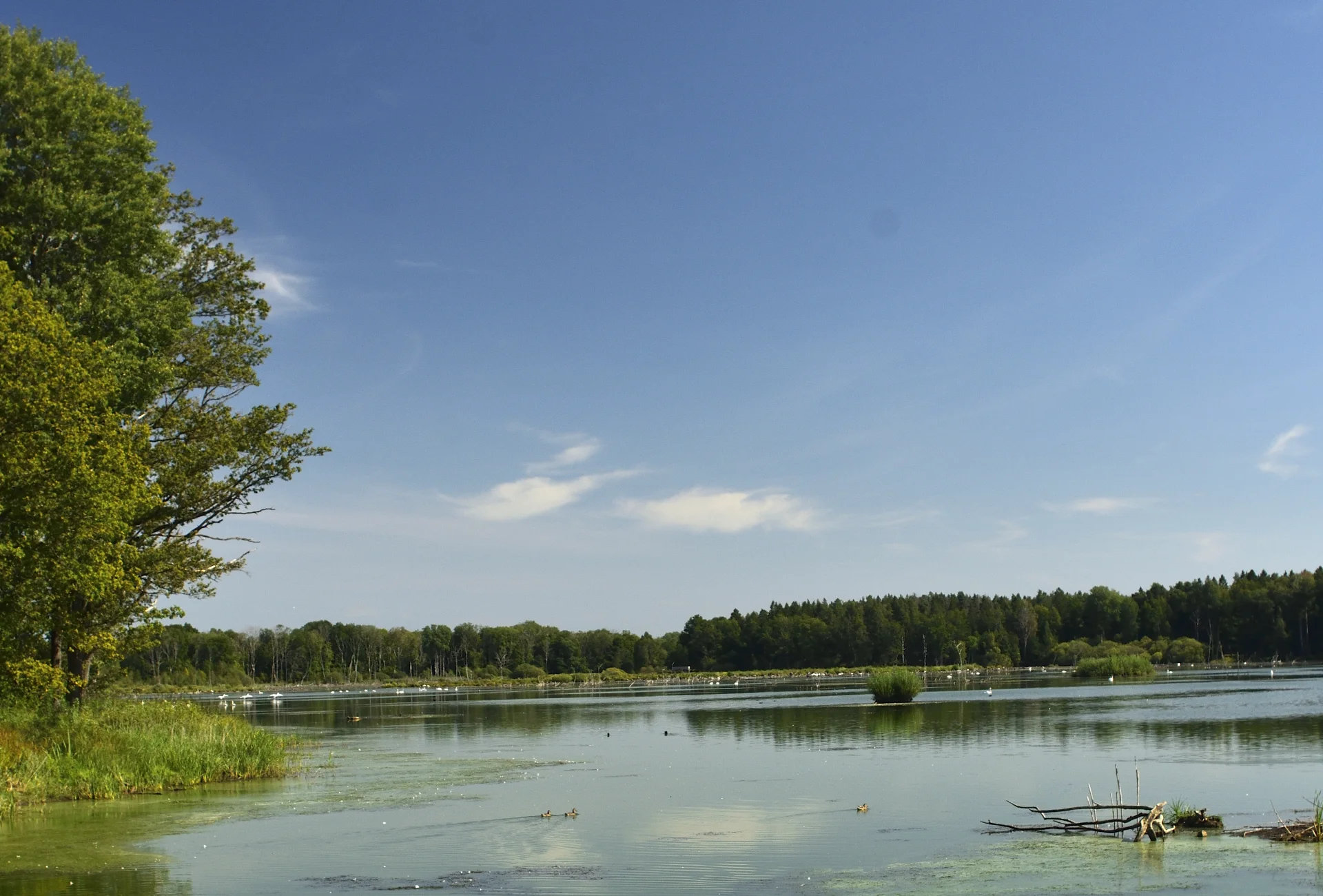 Goesta_sv_Lkpg_192copyr_OlofA.webp
