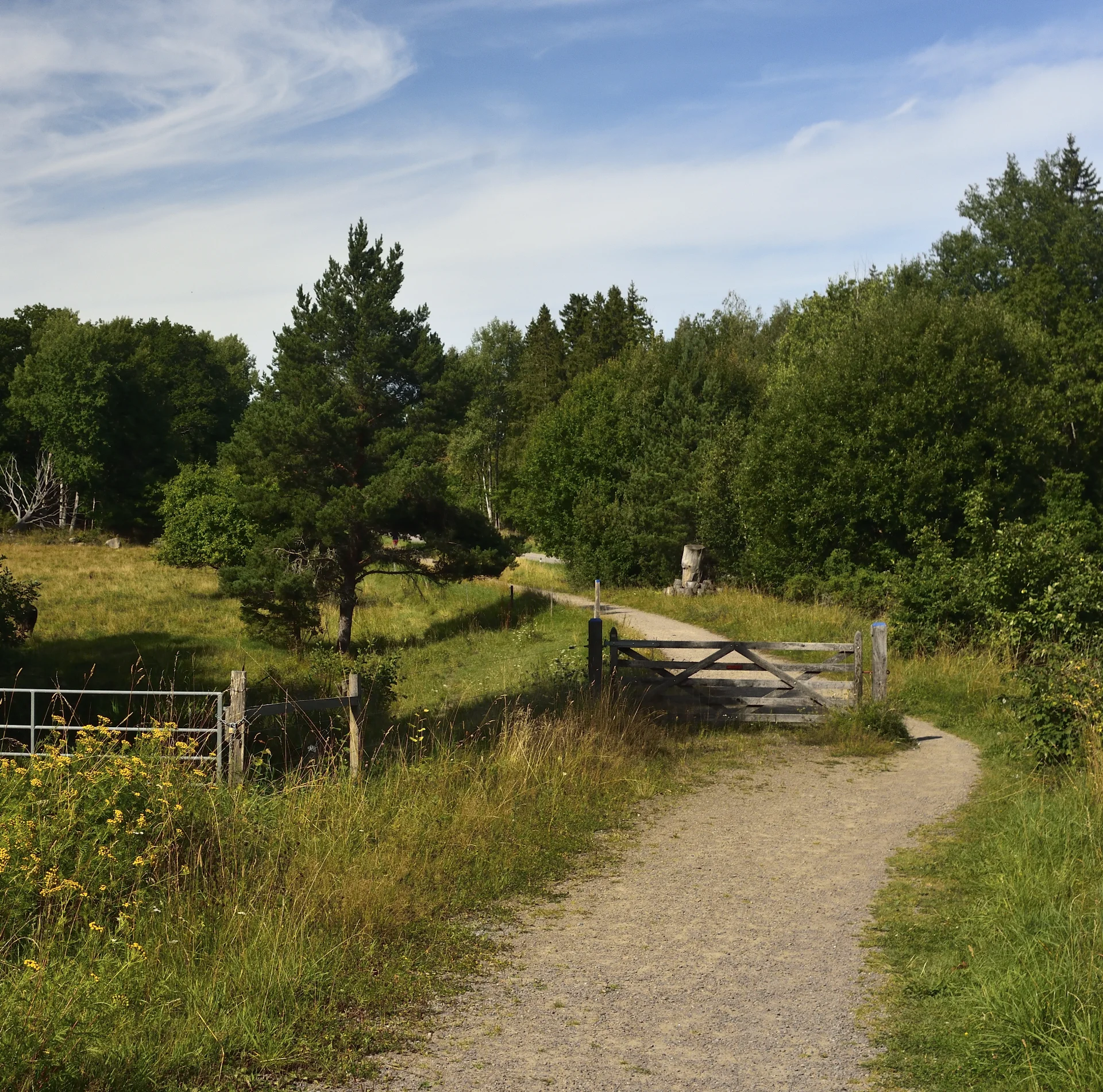 Goesta_sv_Lkpg_193copyr_OlofA.webp