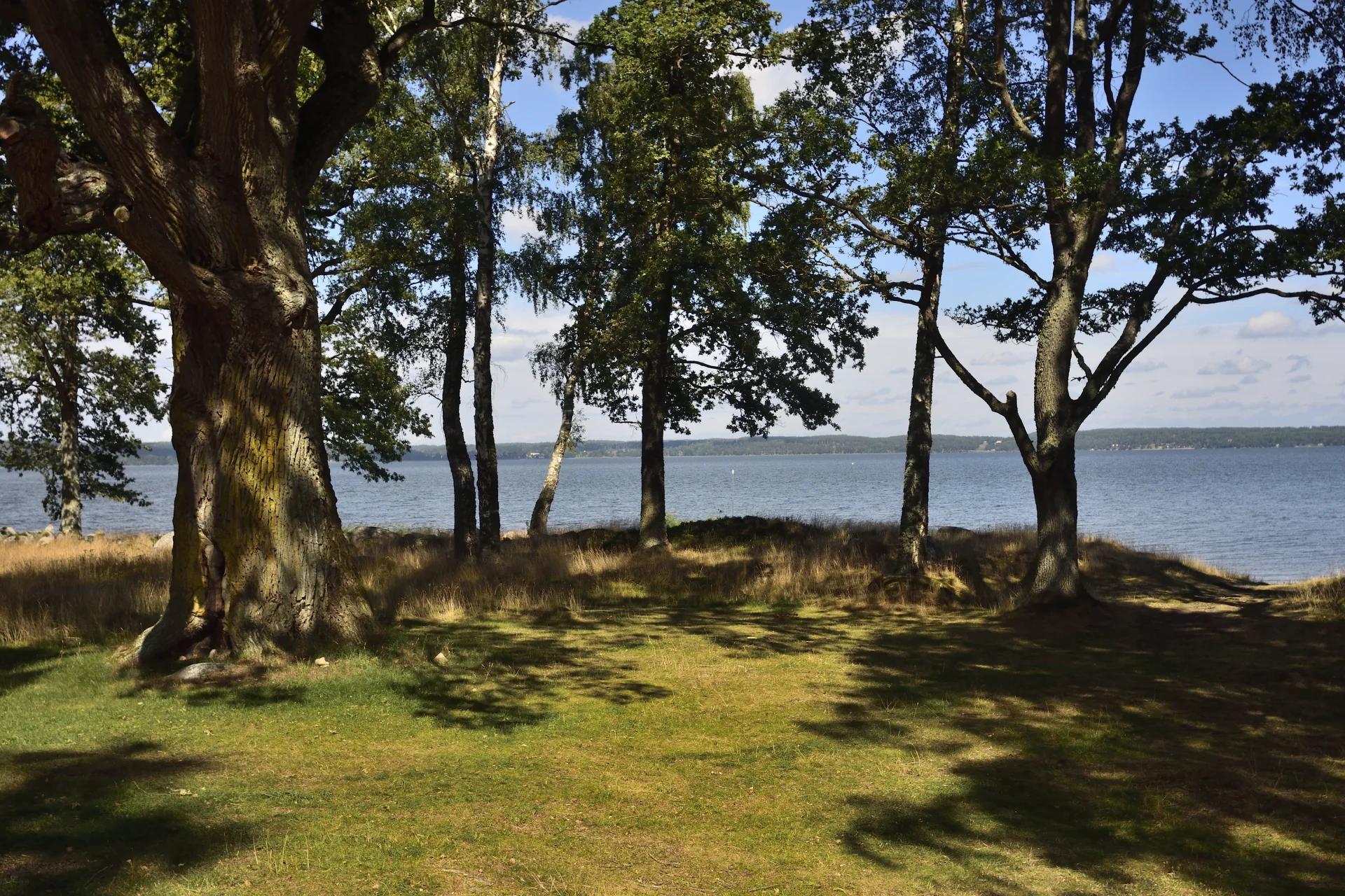Goesta_Syd_Roxen_107copyr_OlofA.webp