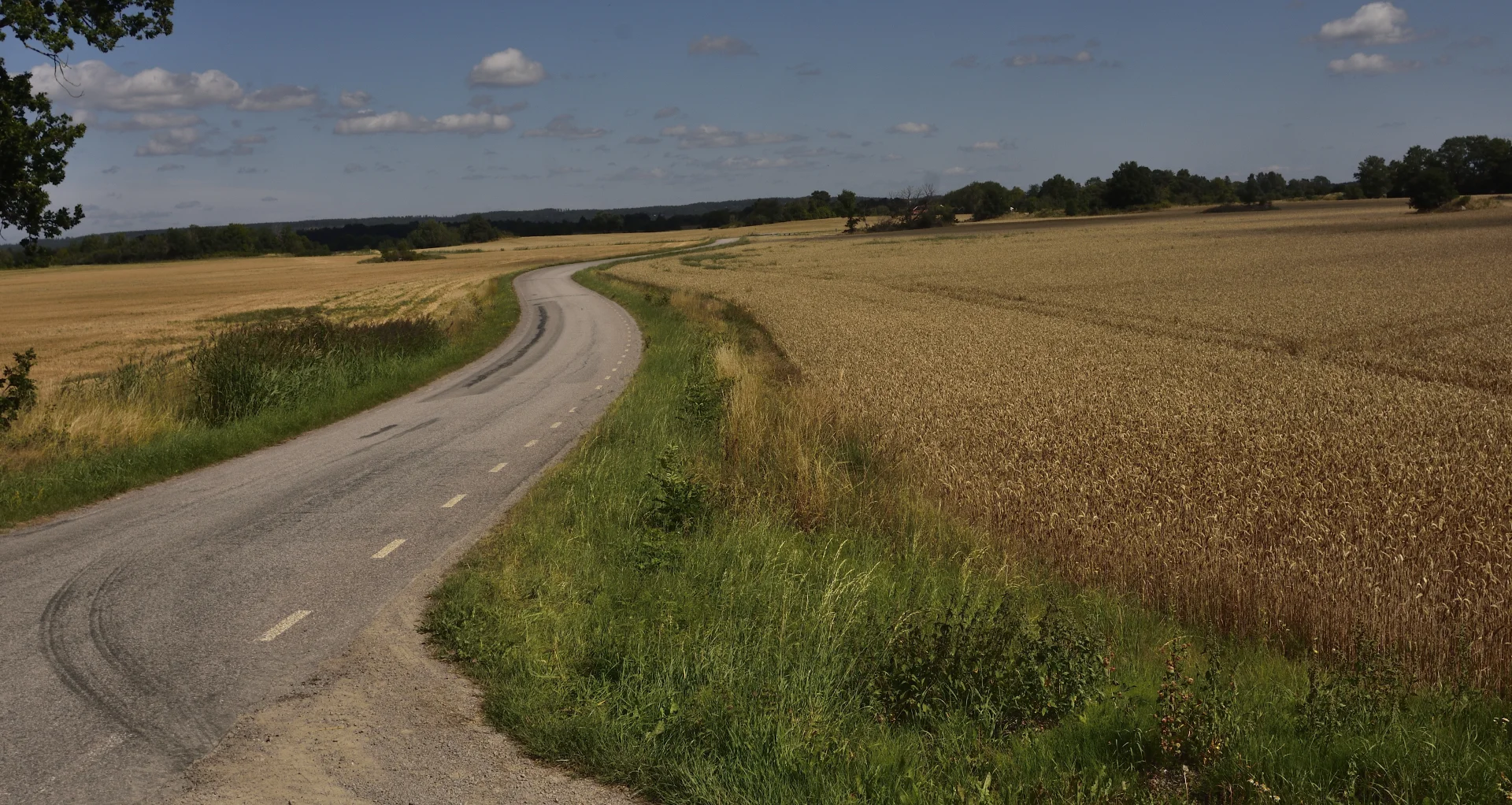 Goesta_Syd_Roxen_110copyr_OlofA.webp
