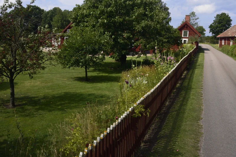 Goesta_Västra_Götaland_50copyr_OlofA.webp