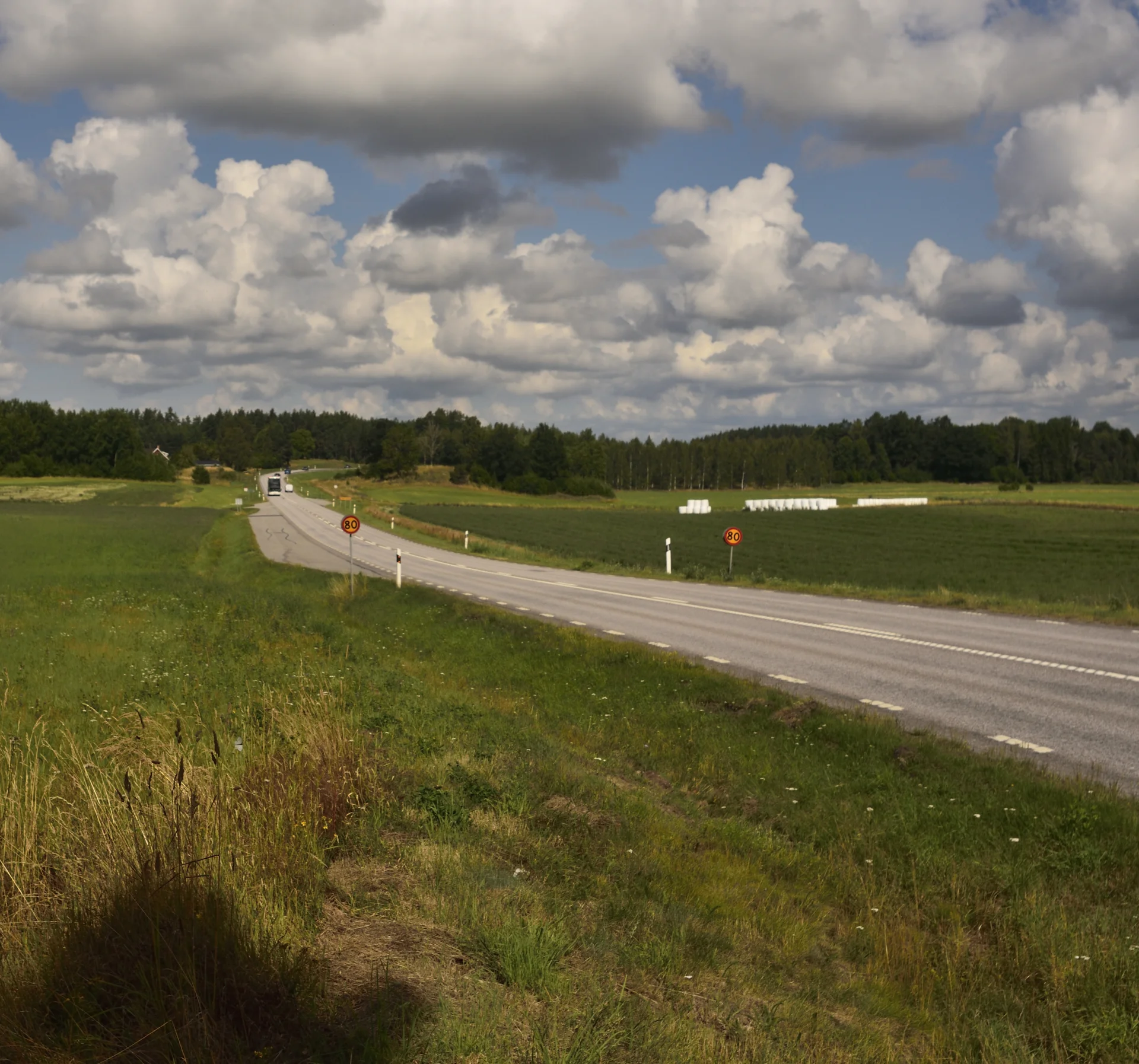 Goesta_Västra_Götaland_83copyr_OlofA.webp