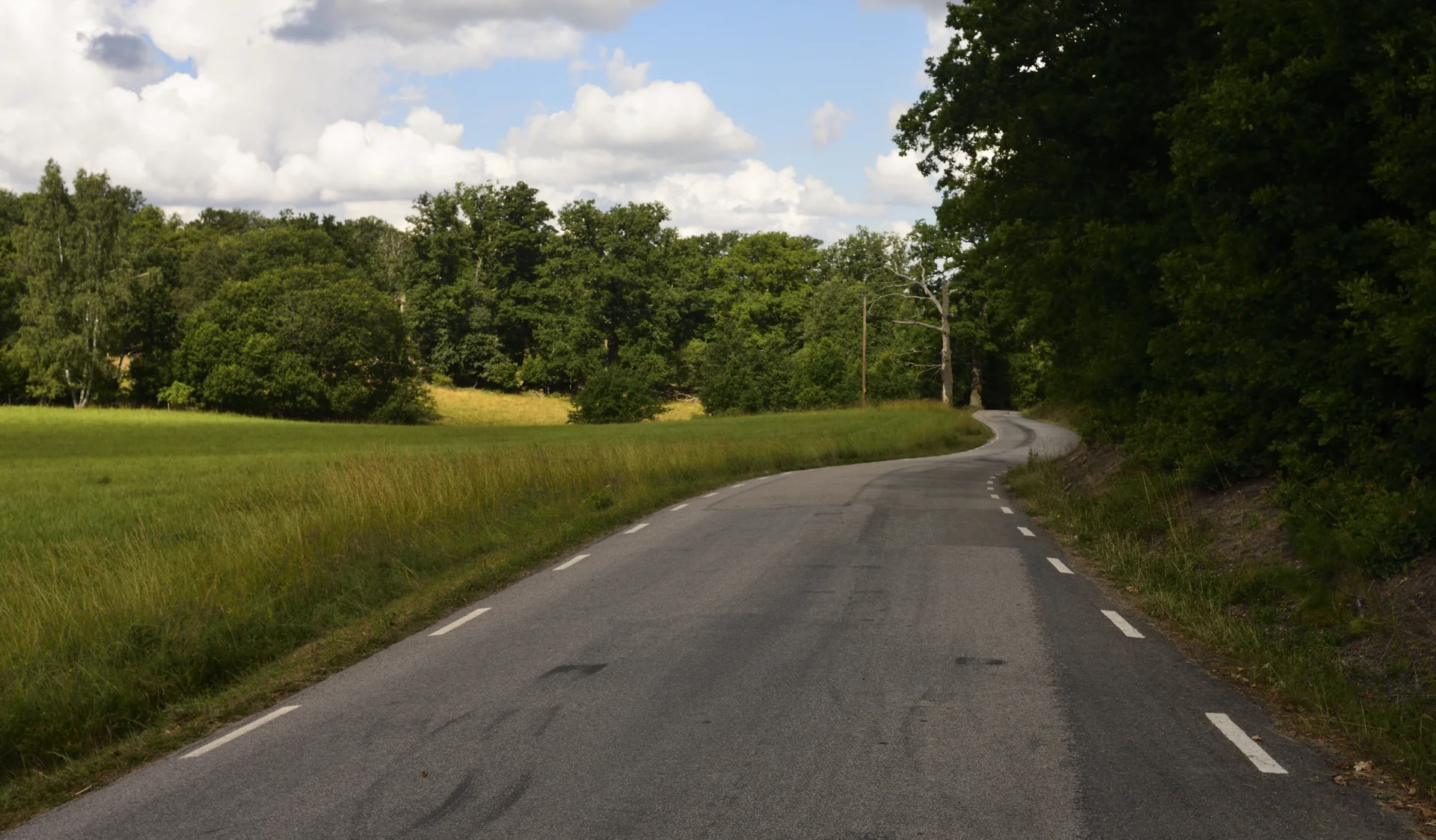 Goesta_Västra_Götaland_86copyr_OlofA.webp