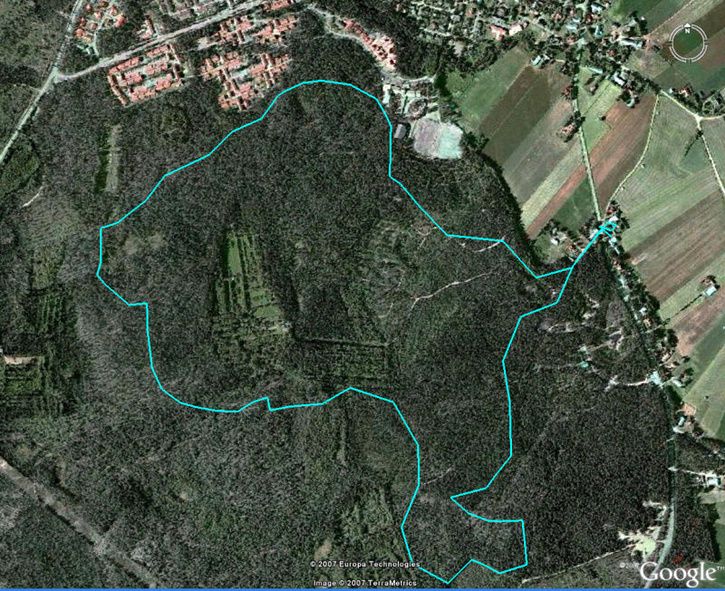 Googleniro.jpg ht=591