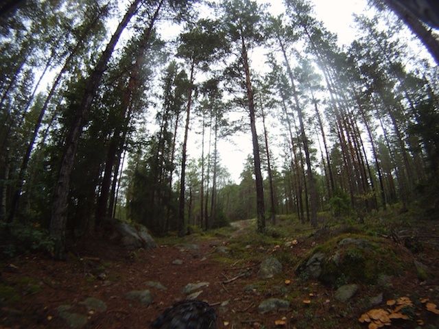 GOPR0083.jpg ht=480