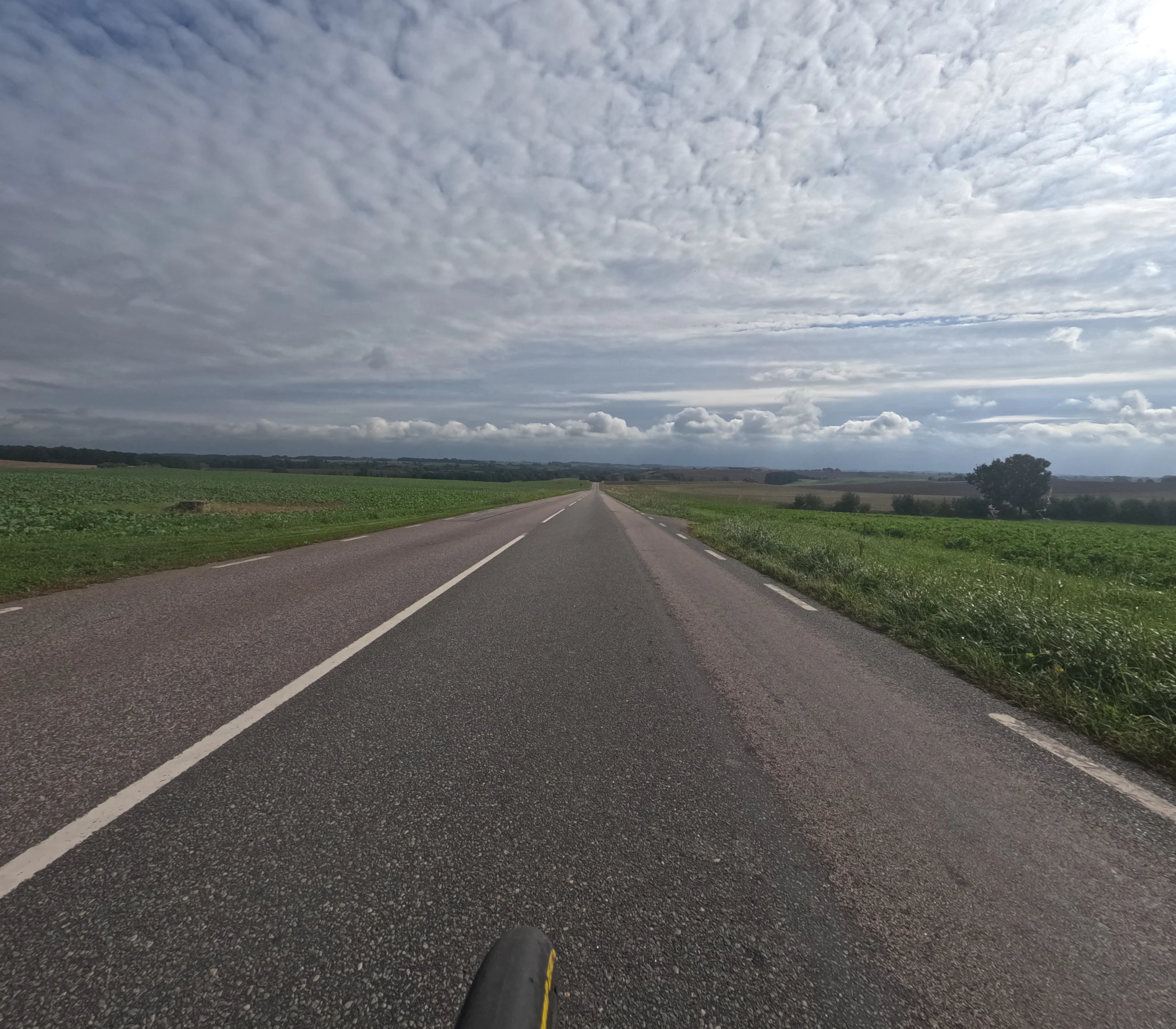 GOPR4040.webp