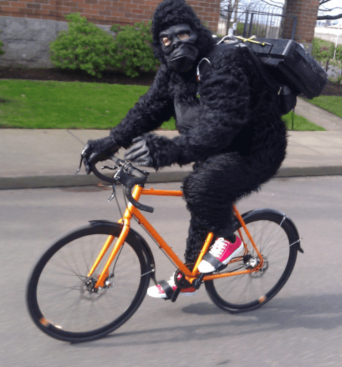 gorilla.png