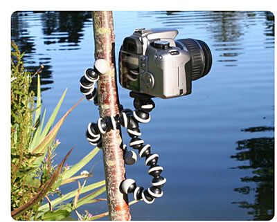 gorilla_pod_slr2.jpg