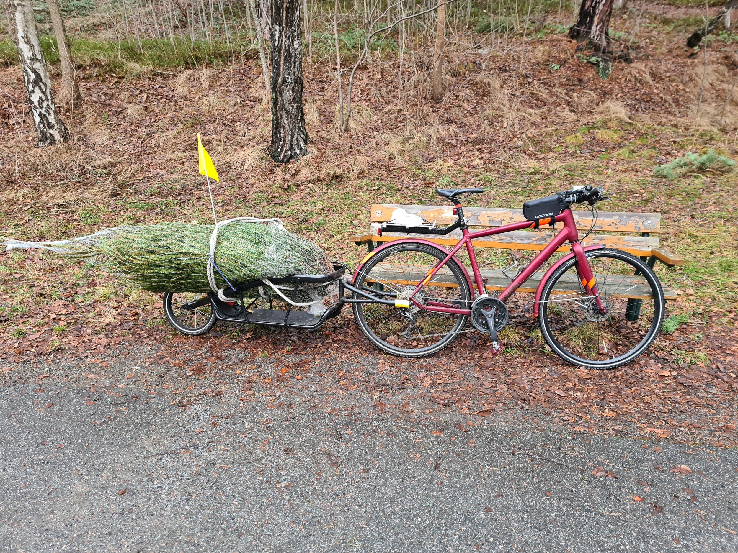 gran_cykel.jpg