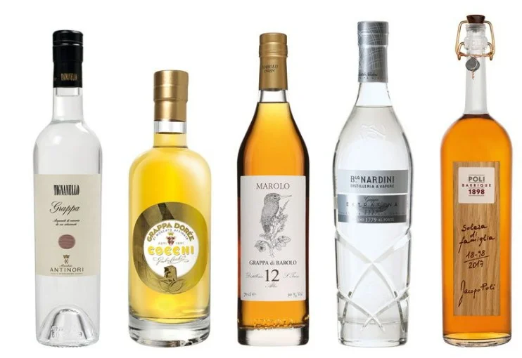 grappa1.webp