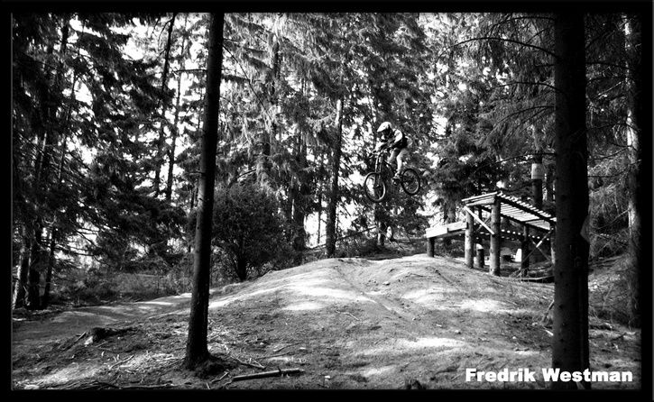 graviz_sv_liten.jpg ht=446