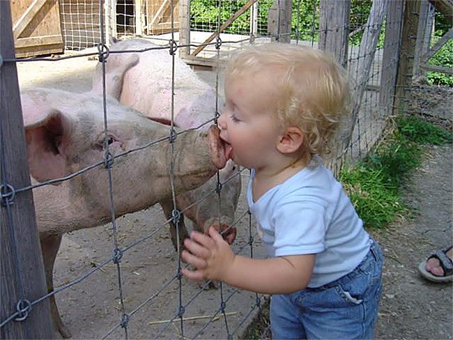 Kissing disease?