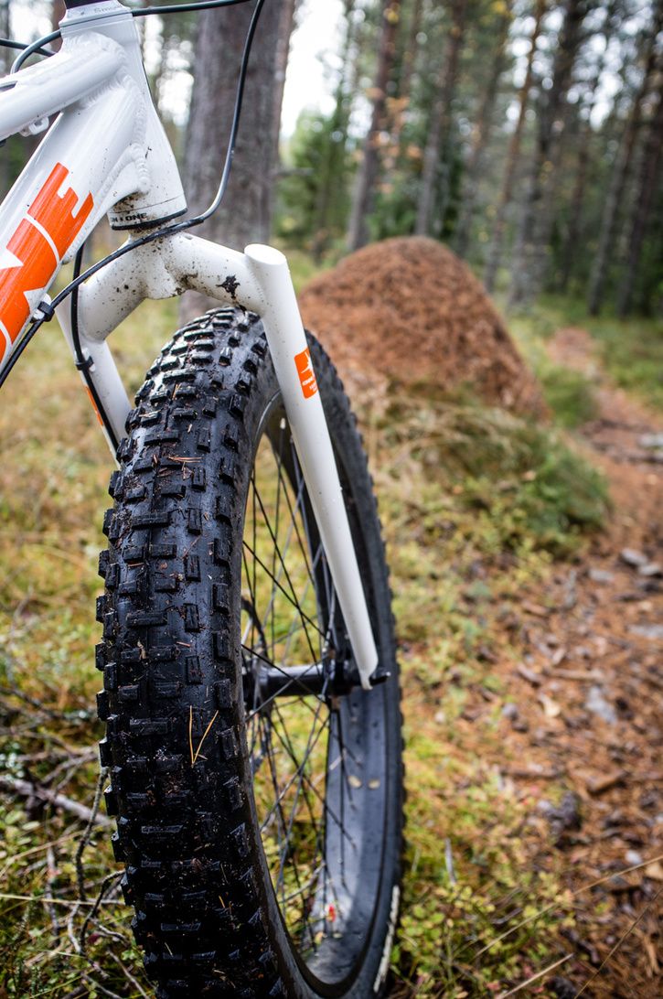Grssjn_20131006-2036.jpg
