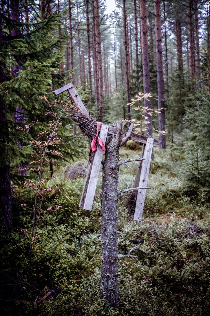 Grssjn_20131006-2040.jpg