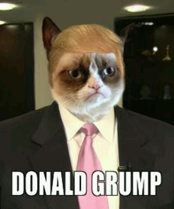 grump.jpg