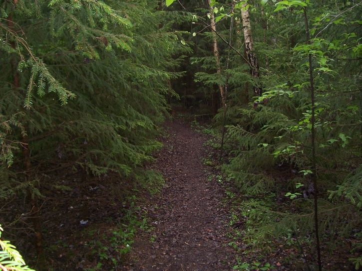 Grusgropen002.jpg ht=544