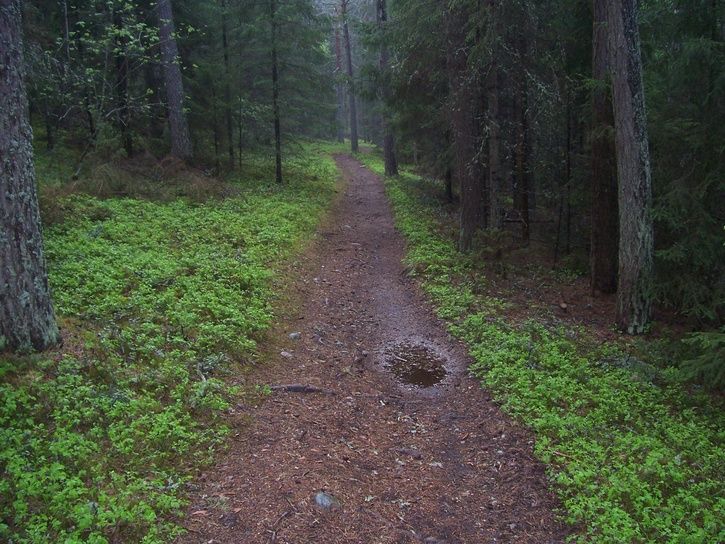 Grusgropen008.jpg ht=544