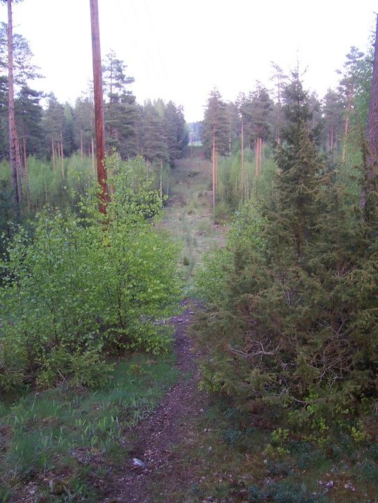 Grusgropen013.jpg ht=725