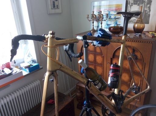 guldcykel.jpeg