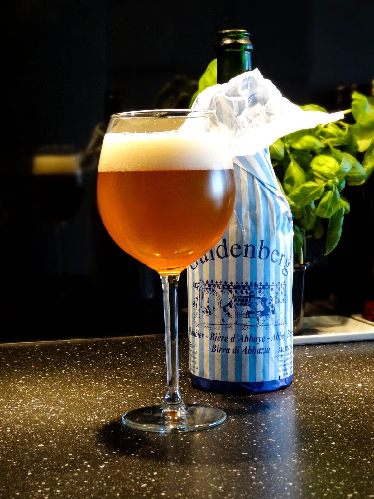 Guldenberg.jpg