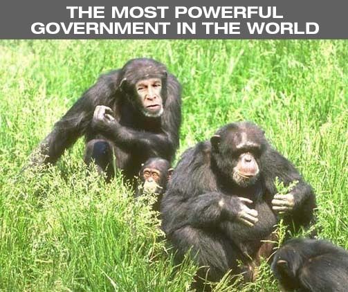 GW_Bush_02.jpg ht=422