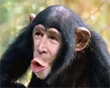 GW_Bush_05.jpg ht=129