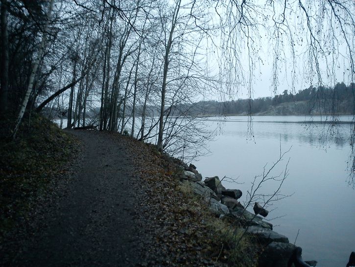 haga10.jpg