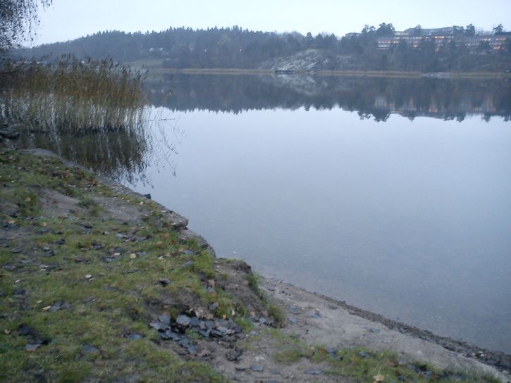 haga2.jpg