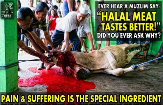 halal-slaughter-capture.jpg