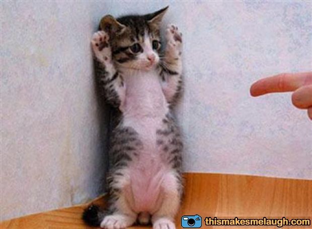 Hands_up_or_the_cotton_ball_gets_it_390.jpg ht=456