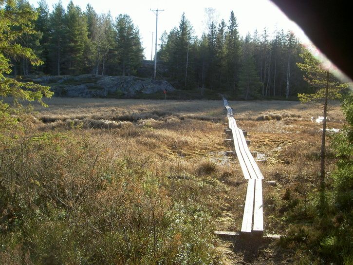 Happy30-03.jpg ht=544