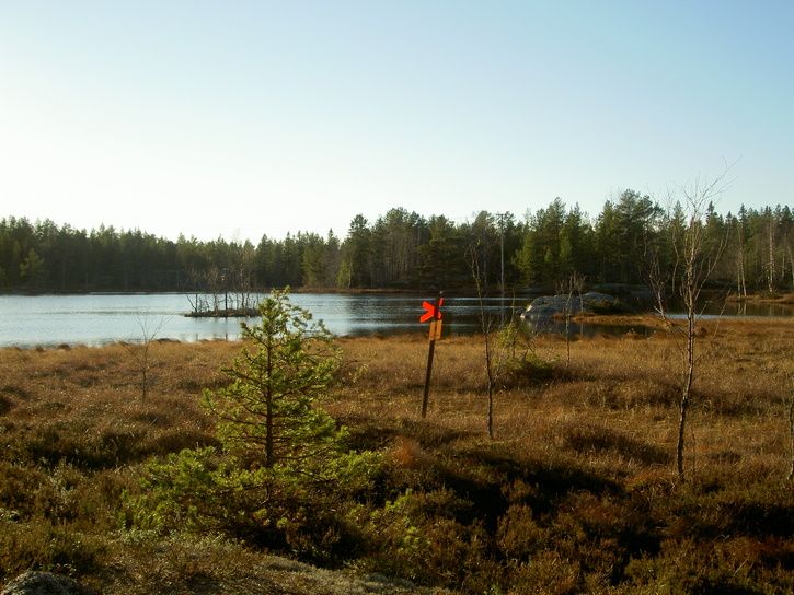 Happy30-05.jpg ht=544