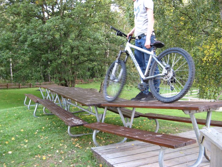 happybild3.jpg ht=544