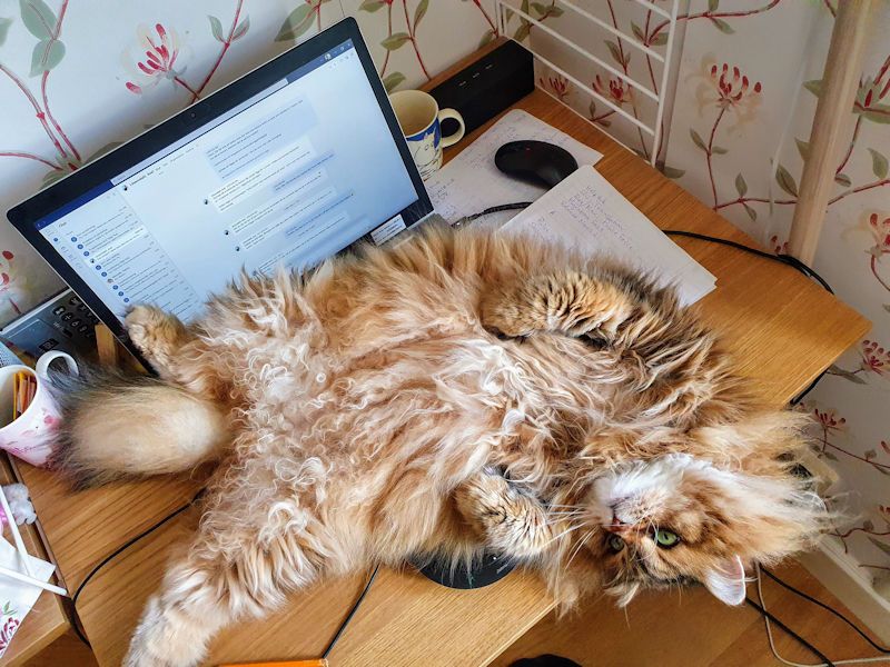 hard at work.jpg