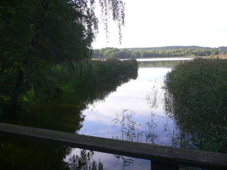 haringe_08080008.JPG ht=544