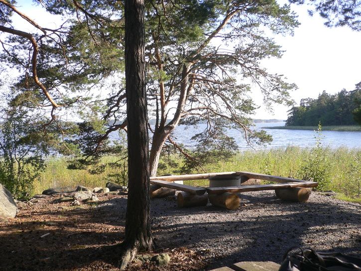 haringe_08080025.JPG ht=544