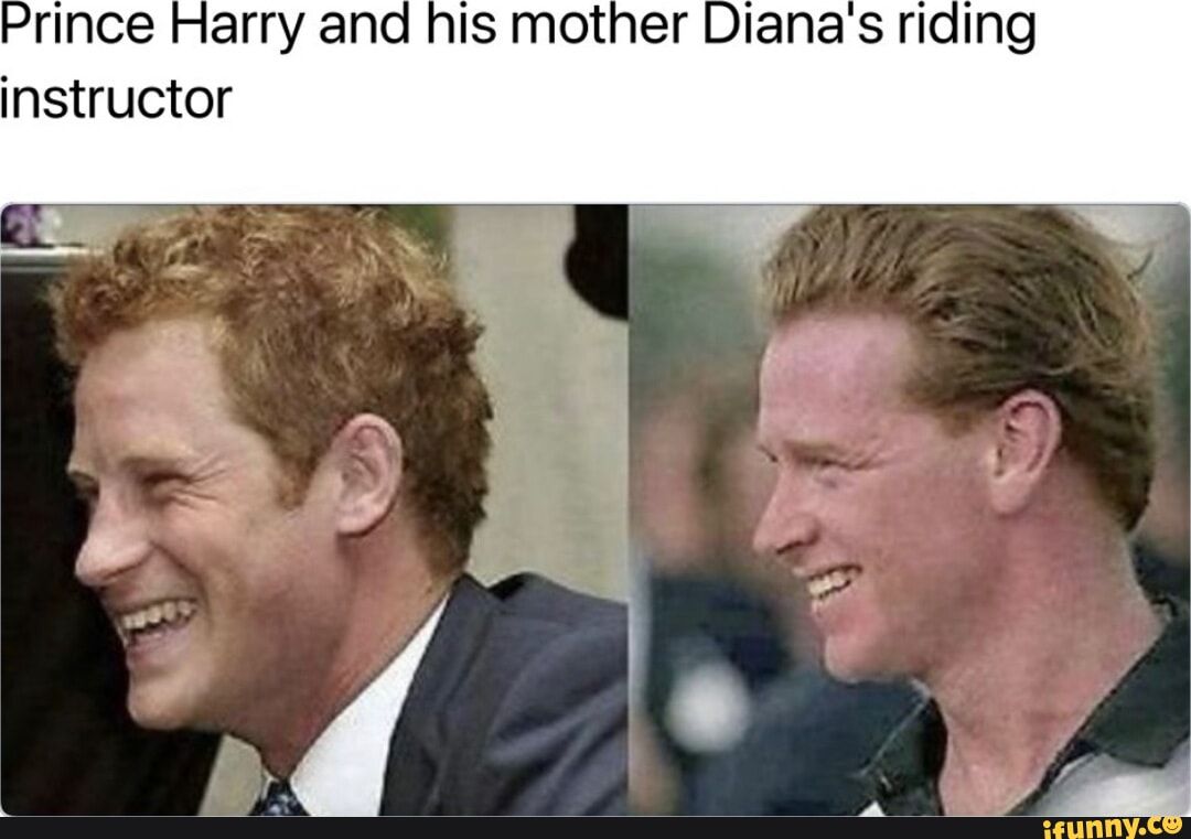 harry.jpg
