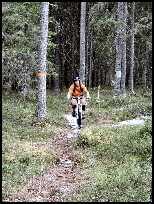 hassningberget_11.jpg ht=705