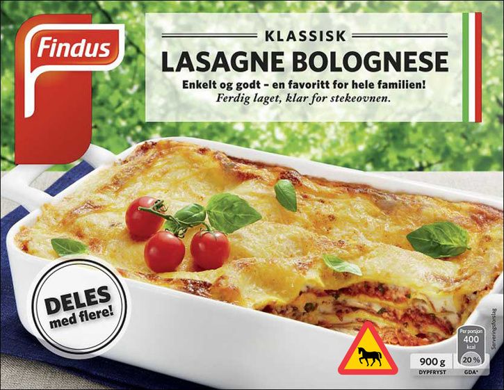 Hstlasagne.jpg