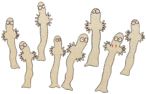 hatti.gif ht=192